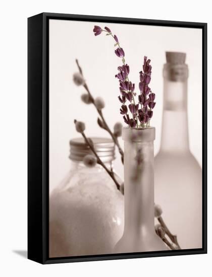 Lavender Bottles-Julie Greenwood-Framed Stretched Canvas
