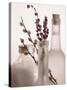 Lavender Bottles-Julie Greenwood-Stretched Canvas