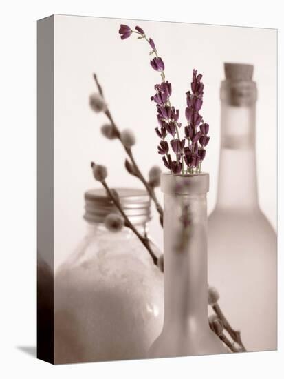 Lavender Bottles-Julie Greenwood-Stretched Canvas