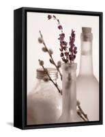 Lavender Bottles-Julie Greenwood-Framed Stretched Canvas