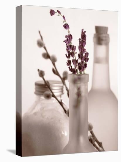 Lavender Bottles-Julie Greenwood-Stretched Canvas