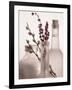 Lavender Bottles-Julie Greenwood-Framed Art Print