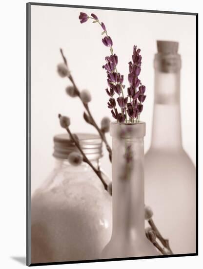 Lavender Bottles-Julie Greenwood-Mounted Art Print
