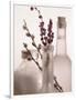 Lavender Bottles-Julie Greenwood-Framed Art Print