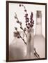 Lavender Bottles-Julie Greenwood-Framed Art Print