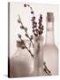 Lavender Bottles-Julie Greenwood-Stretched Canvas