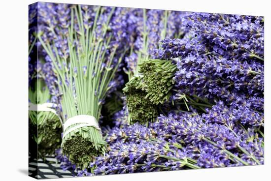 Lavender Bunches I-Dana Styber-Stretched Canvas