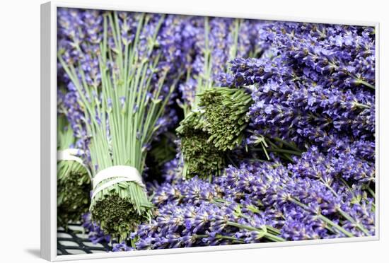 Lavender Bunches I-Dana Styber-Framed Photographic Print