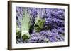 Lavender Bunches I-Dana Styber-Framed Photographic Print