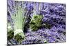Lavender Bunches I-Dana Styber-Mounted Photographic Print
