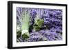 Lavender Bunches I-Dana Styber-Framed Photographic Print