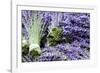 Lavender Bunches I-Dana Styber-Framed Photographic Print