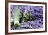 Lavender Bunches I-Dana Styber-Framed Photographic Print