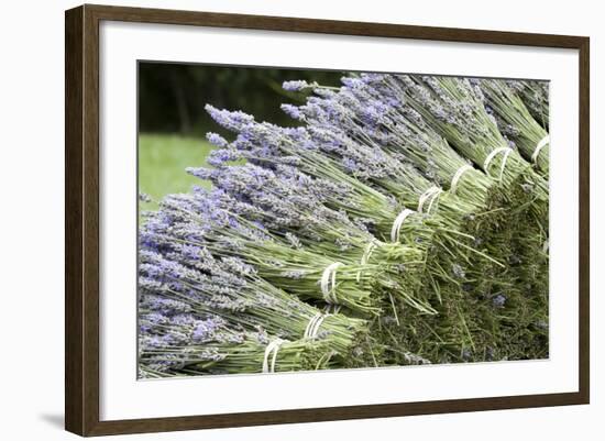 Lavender Bunches II-Dana Styber-Framed Photographic Print