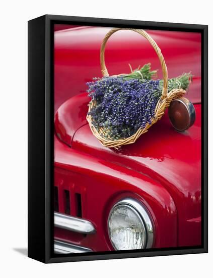 Lavender Bunches Rest on an Old Farm Pickup Truck, Washington, USA-Brent Bergherm-Framed Stretched Canvas