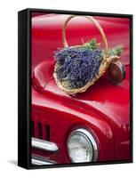 Lavender Bunches Rest on an Old Farm Pickup Truck, Washington, USA-Brent Bergherm-Framed Stretched Canvas