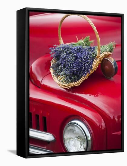 Lavender Bunches Rest on an Old Farm Pickup Truck, Washington, USA-Brent Bergherm-Framed Stretched Canvas