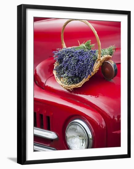 Lavender Bunches Rest on an Old Farm Pickup Truck, Washington, USA-Brent Bergherm-Framed Premium Photographic Print