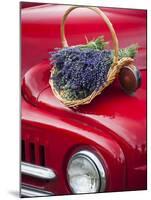 Lavender Bunches Rest on an Old Farm Pickup Truck, Washington, USA-Brent Bergherm-Mounted Premium Photographic Print