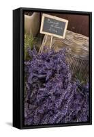 Lavender bunches to sales, Provence-Andrea Haase-Framed Stretched Canvas