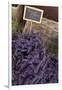 Lavender bunches to sales, Provence-Andrea Haase-Framed Photographic Print