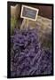 Lavender bunches to sales, Provence-Andrea Haase-Framed Photographic Print