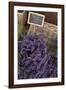 Lavender bunches to sales, Provence-Andrea Haase-Framed Photographic Print