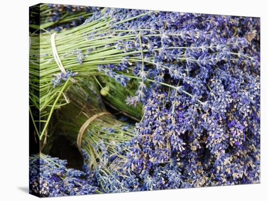 Lavender Bundles for Sale in Roussillon, Sault, Provence, France-Nadia Isakova-Stretched Canvas