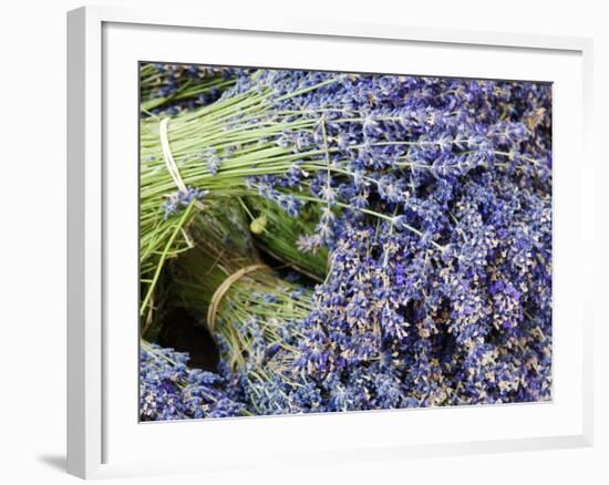 Lavender Bundles for Sale in Roussillon, Sault, Provence, France-Nadia Isakova-Framed Photographic Print