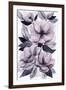 Lavender Burst II-Grace Popp-Framed Art Print