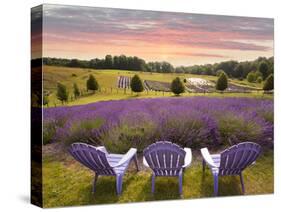 Lavender Chairs, Horton Bay, Michigan '14-Monte Nagler-Stretched Canvas