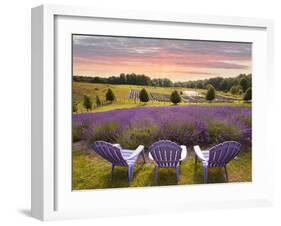 Lavender Chairs, Horton Bay, Michigan '14-Monte Nagler-Framed Photographic Print