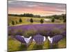 Lavender Chairs, Horton Bay, Michigan '14-Monte Nagler-Mounted Photographic Print