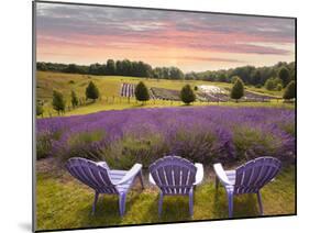 Lavender Chairs, Horton Bay, Michigan '14-Monte Nagler-Mounted Photographic Print