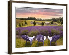Lavender Chairs, Horton Bay, Michigan '14-Monte Nagler-Framed Photographic Print