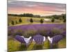 Lavender Chairs, Horton Bay, Michigan '14-Monte Nagler-Mounted Photographic Print