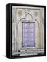 Lavender colored door, Taj Mahal, Agra, India-Adam Jones-Framed Stretched Canvas