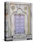 Lavender colored door, Taj Mahal, Agra, India-Adam Jones-Stretched Canvas