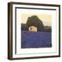 Lavender Country-Amy Melious-Framed Art Print