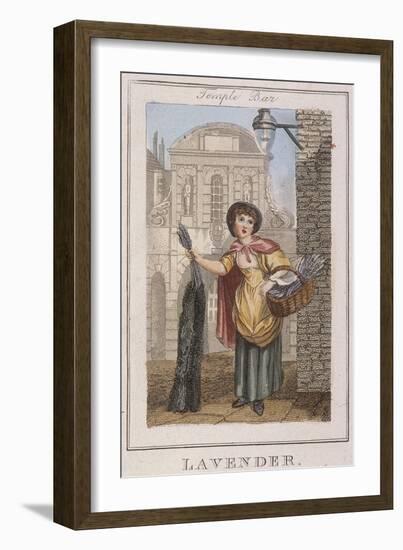 Lavender, Cries of London, 1804-William Marshall Craig-Framed Giclee Print