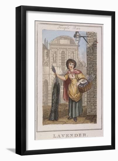 Lavender, Cries of London, 1804-William Marshall Craig-Framed Giclee Print