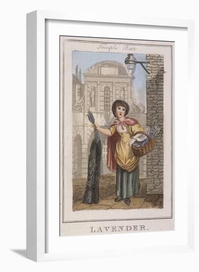 Lavender, Cries of London, 1804-William Marshall Craig-Framed Giclee Print