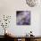 Lavender Dahlia IV-Rita Crane-Photographic Print displayed on a wall