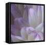 Lavender Dahlia V-Rita Crane-Framed Stretched Canvas