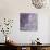 Lavender Dahlia V-Rita Crane-Photographic Print displayed on a wall