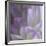 Lavender Dahlia V-Rita Crane-Framed Photographic Print