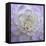 Lavender Dahlia VI-Rita Crane-Framed Stretched Canvas