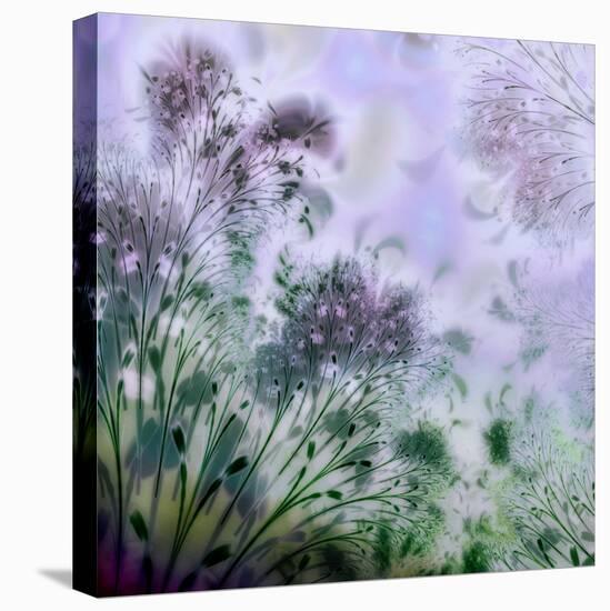 Lavender Day-Mindy Sommers-Stretched Canvas