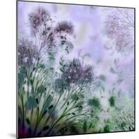 Lavender Day-Mindy Sommers-Mounted Giclee Print