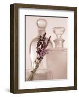 Lavender Detail-Julie Greenwood-Framed Art Print